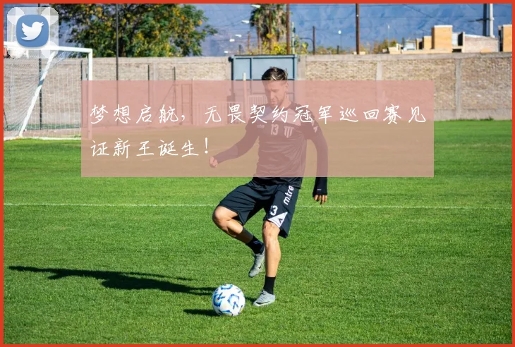 梦想启航，无畏契约冠军巡回赛见证新王诞生！
