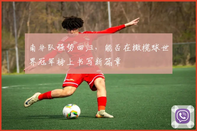 南非队强势回归，能否在橄榄球世界冠军榜上书写新篇章