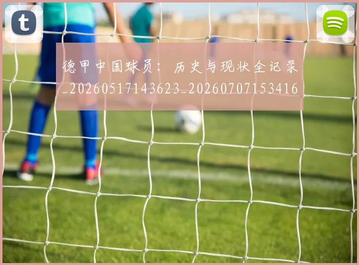 德甲中国球员:历史与现状全记录_20260517143623_20260707153416