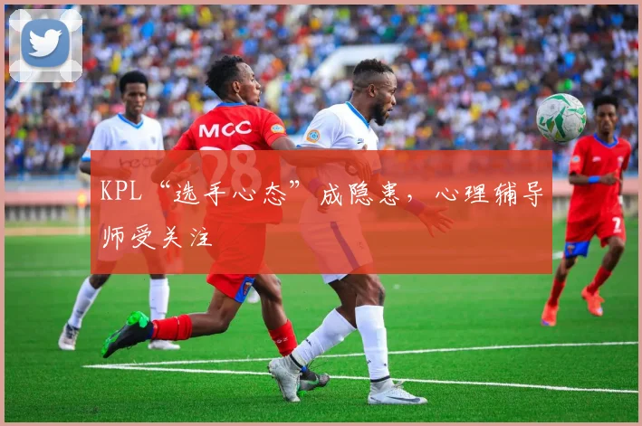 KPL“选手心态”成隐患，心理辅导师受关注